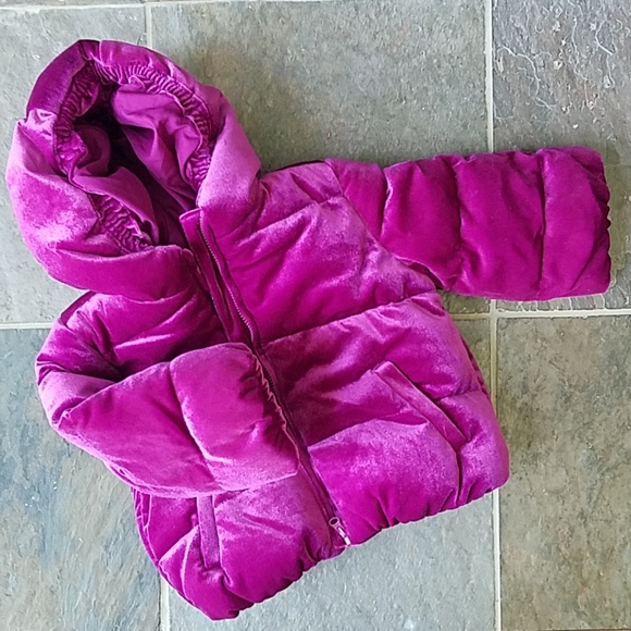 NWT Gymboree Velvet/Hooded Puffer (18-24M) - Picture 7 of 7